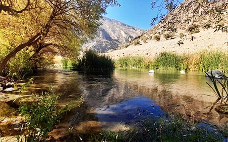 دو چشمه در سرپل‌ذهاب و یک چشمه در گیلانغرب ثبت ملی شد